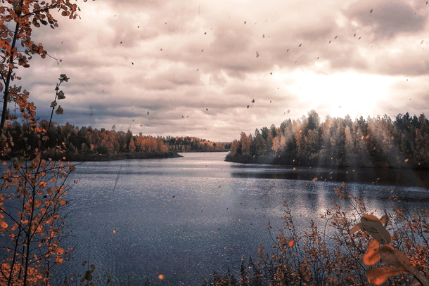 Leaves falling over a lakeSweden 