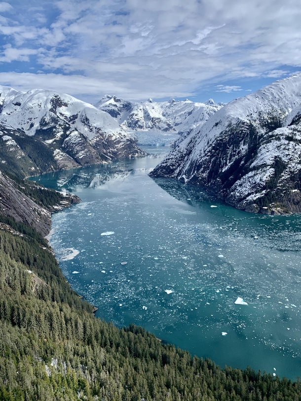 LeConte Bay and Glacier in Southeast Alaska 