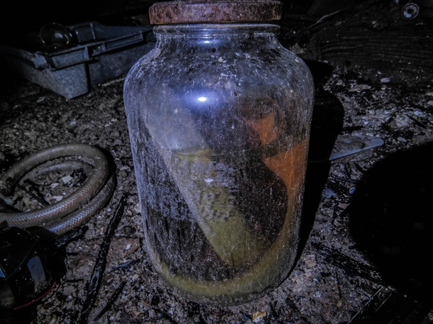 Left behind Sea Lamprey found in abandoned school Flint MI 