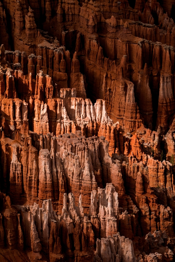 Light amp Shadow in Bryce Canyon National Park 