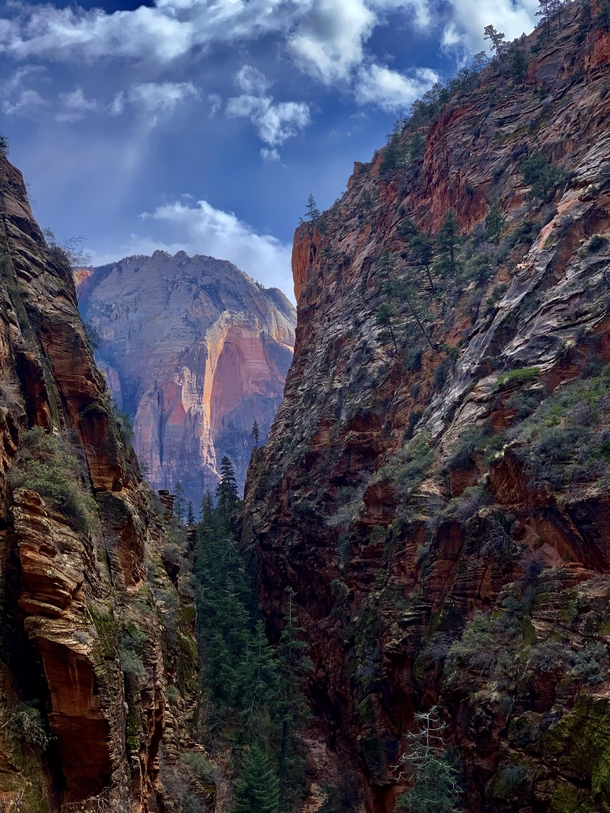 Like A Painting Angels Landing Trail Zion National Park  x