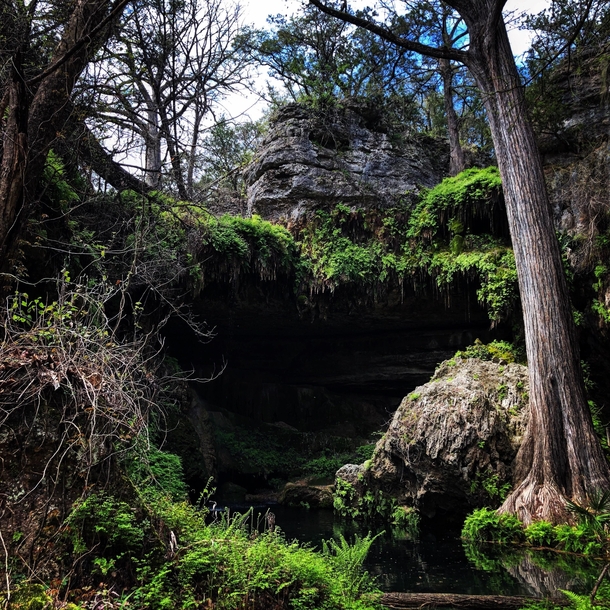 Listening and viewing in silence in this miraculous environment Humbles ones soul Westcave Preserve TX 