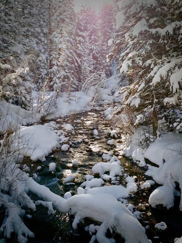 Little Cottonwood Creek at the White Pine Trail Head above Salt Lake City Off to another day of skiing Utah powder OC  