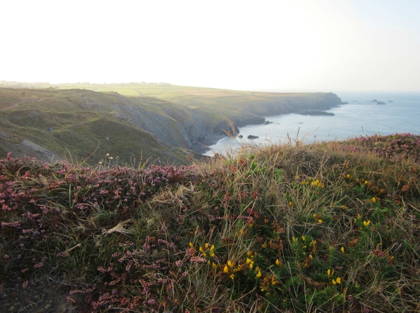 Lizard Peninsula Cornwall 
