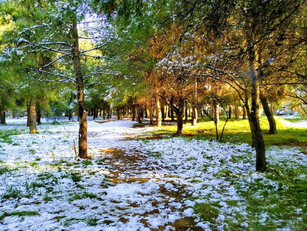Local park in Maroussi Athens Greece during the one single day of winter we got 