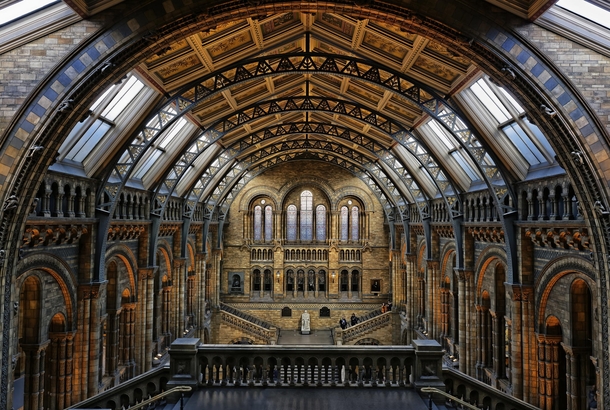Londons natural history museum 
