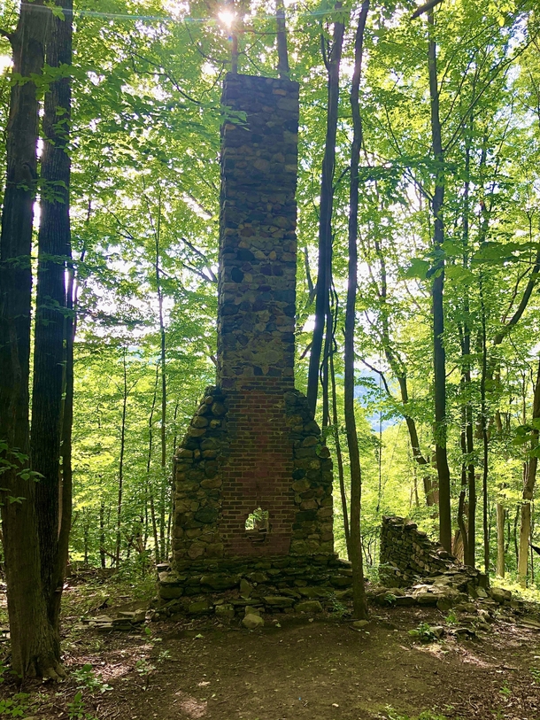 Lone chimney from an old farmhouse built in 