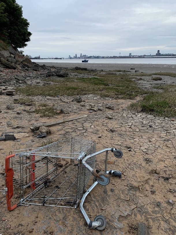 Lonely shopping trolley on west shore of the Mersey opposite Liverpool low tide You can see the cathedral and docks on the other side This area is called New Ferry the first services recorded were in  Services stopped in the s Now just crumbling concrete 