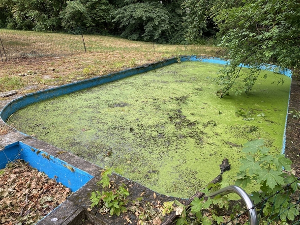long abandoned pool  doesnt it look inviting  in vienna austria