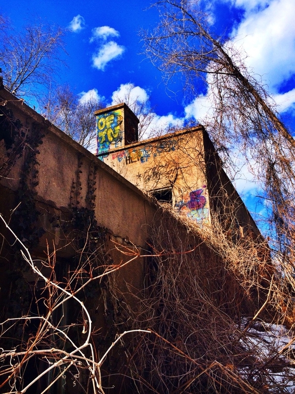 Longabandoned Pratt Estate greenhouse located within Welwyn Preserve