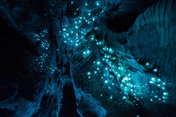 Long-Exposure Photograph of Illuminated Glowing Worms in New Zealand limestone Cave by Joseph Michael 