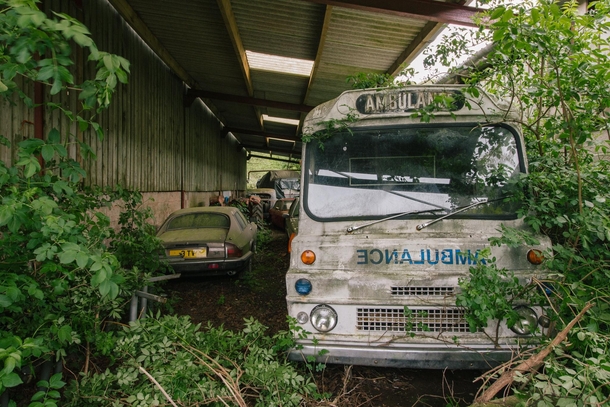 Long stay parking - s of old vehicles rot away as nature takes over UK