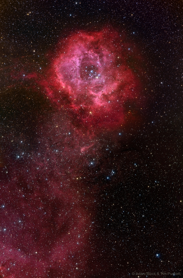 Long Stem Rosette Nebula   Image Credit amp Copyright Adam Block amp Tim Puckett