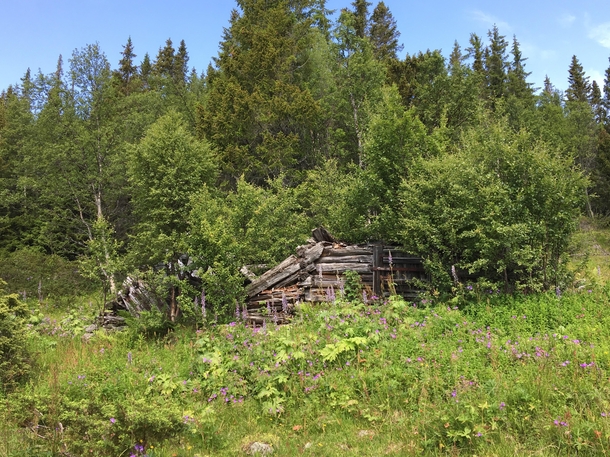 Long time abandoned log cabin in Rjukan Norway