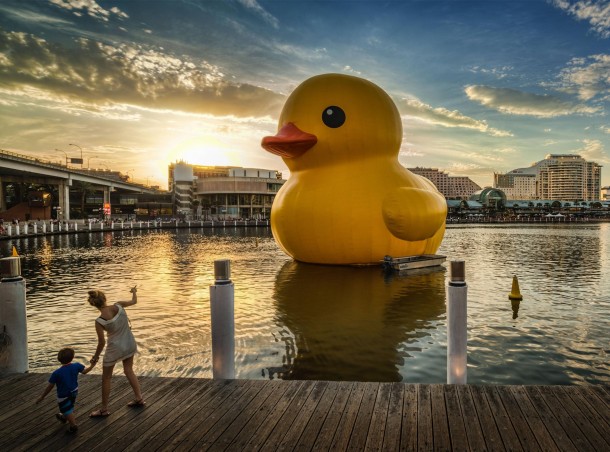 Look Theres a giant rubber ducky in Sydney Harbor 
