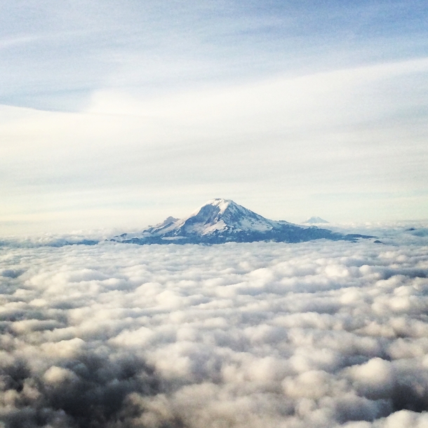 Looked out the window on my plane to see Mount Rainier in Seattle Washington sitting above the clouds OC 