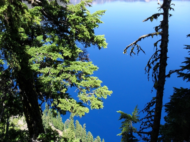 Looking down at Crater Lake OR  x  