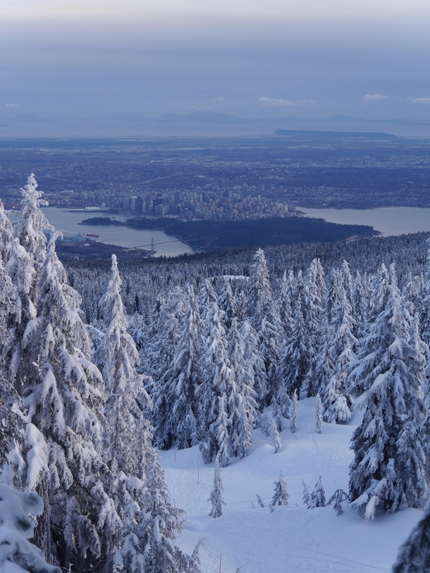 Looking Down on Vancouver from Hollyburn Mountain British Columbia Canada 