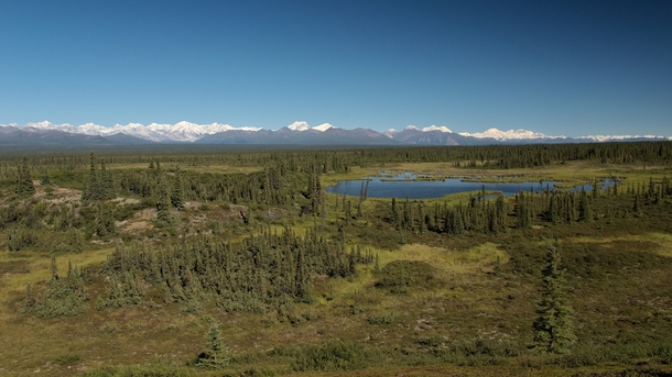 Looking north from the Denali Highway toward the Alaska Range - about  miles east of Cantwell 
