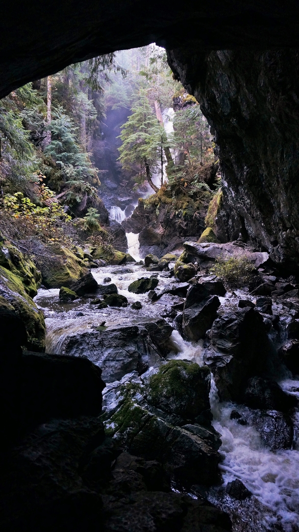 Looking out of the entrance to Upana Cave - Gold River BC Canada OCx
