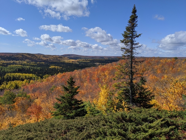 Looking over the Minnesota northwoods from the SHT near the poplar river - OC 