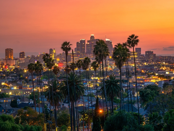 Los Angeles sunset 