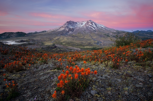 Lost the raw files from this morning so this is the only remaining jpg Mt St Helens Washington State 