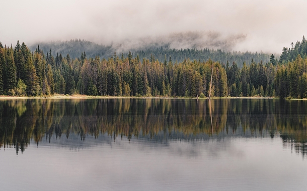 Love me some lake reflections at Mt Hood National Forest Oregon  OC  cbyeva