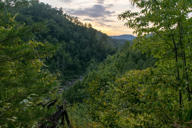 Lovely view overlooking the Abrams Creek Gorge in the Great Smoky Mountains of Tennessee 