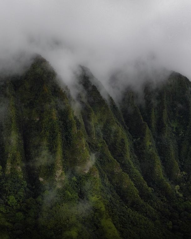 Low Clouds on the Koolaus Oahu HI 