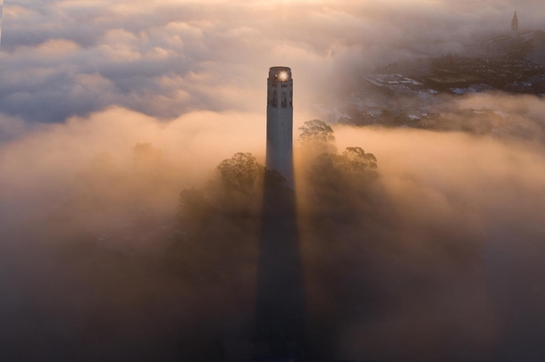 Low fog around Coit Tower San Francisco