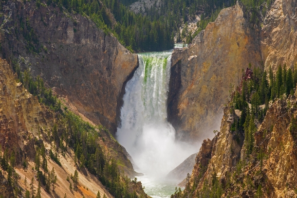 Lower Falls of the Yellowstone River Yellowstone NP 
