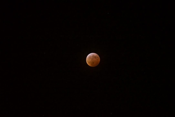 Lunar eclipse from my driveway at - degrees
