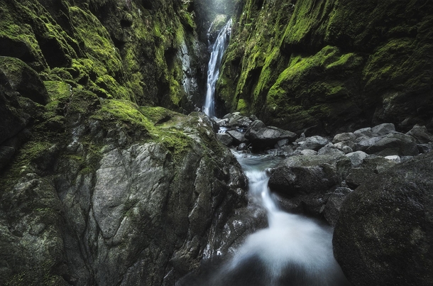 Lush rainforests canyons and waterfalls This one is unnamed but incredibly beautiful North Vancouver BC  tristantodd
