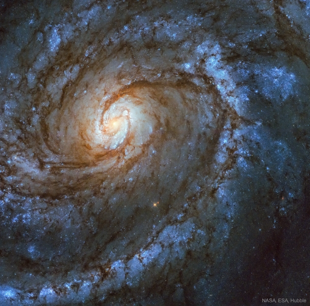 M A Grand Design Spiral Galaxy Image Credit NASA ESA Hubble 