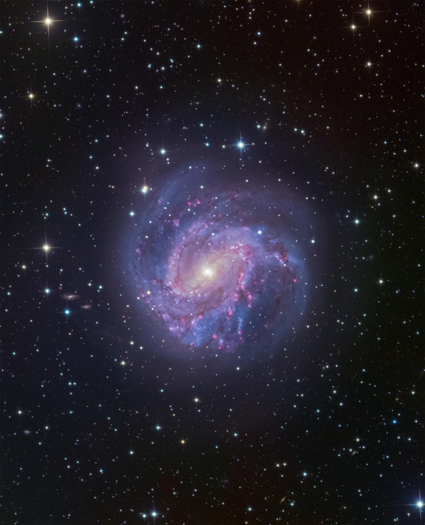 M southern pinwheel galaxy processed by me Data is from Matt Dieterich