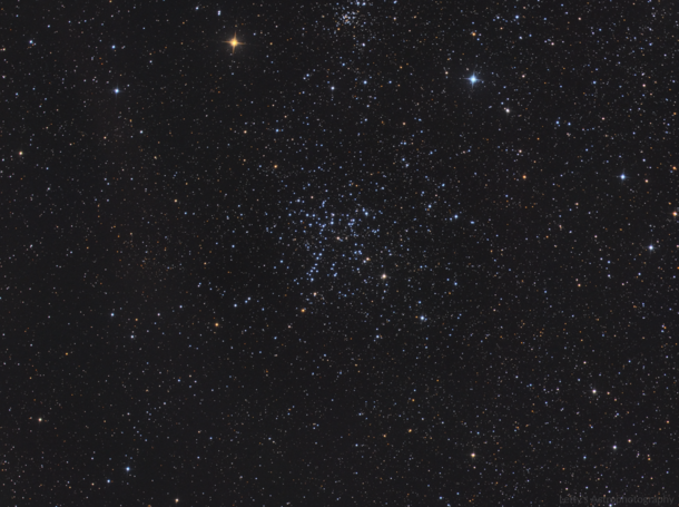 M - The Starfish Cluster 