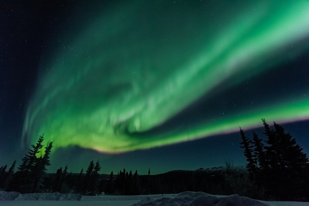 Magical aurora in Fairbanks Alaska while on a photo workshop with Skyfire In Focus Tours 