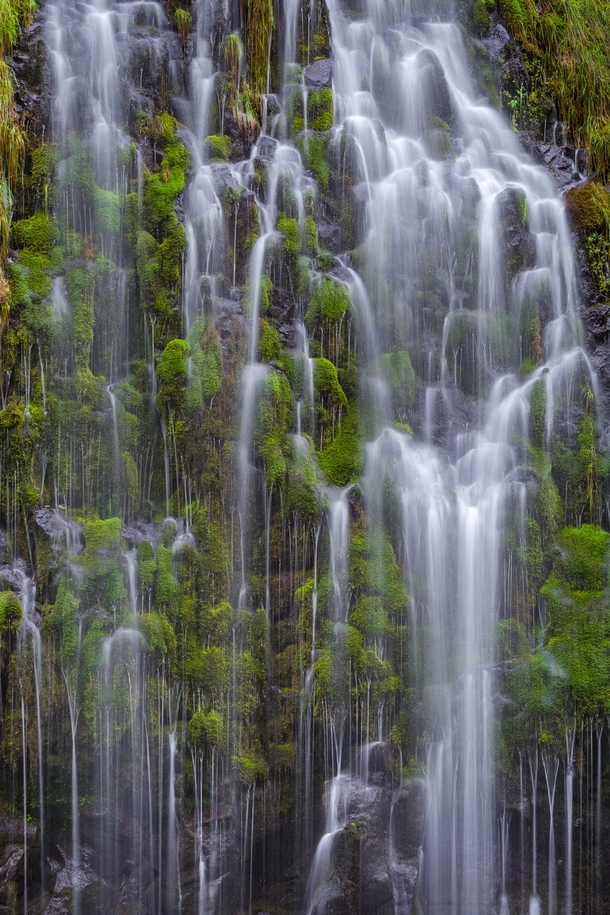 Magical waterfall hidden in Northern CA - Mossbrae Falls 