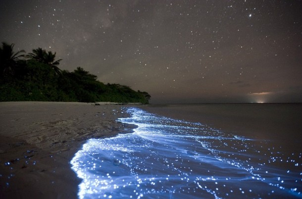 Maldives natural phenomenon turns the water neon blue  