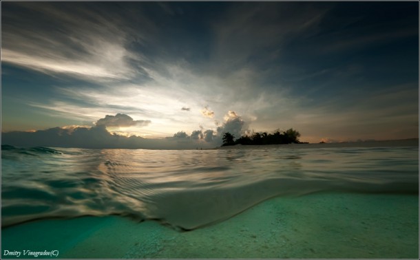 Maldives swim  photo by Dmitry Vinogradov