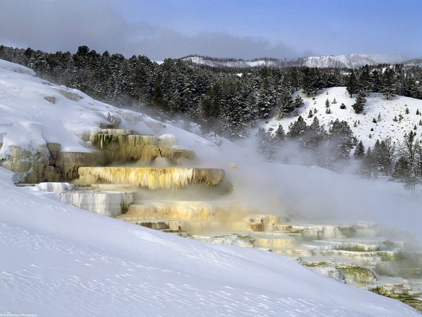 Mamoth Hot Springs YellowStone National Park Wyoming 