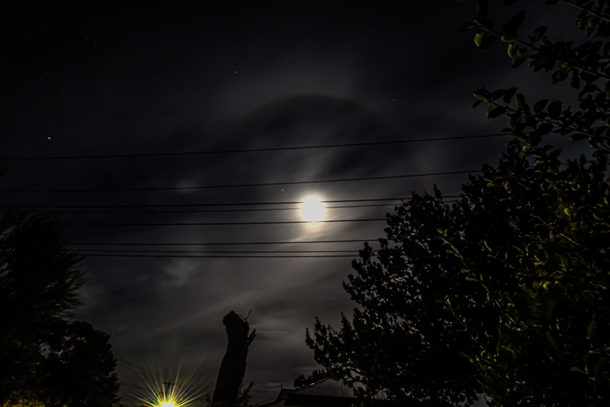 Managed to capture a winter halo I had never seen it before It was amazing