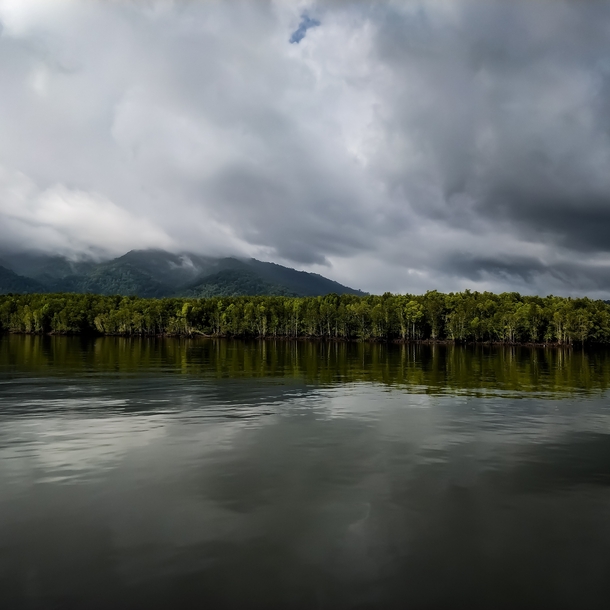 Mangrove Forests of Langkawi Malaysia 