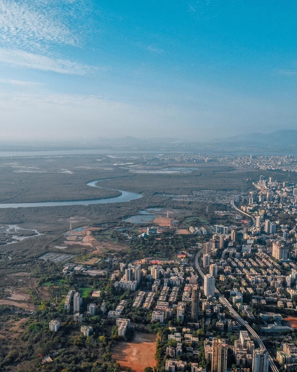 Mangroves and Mumbai suburbs