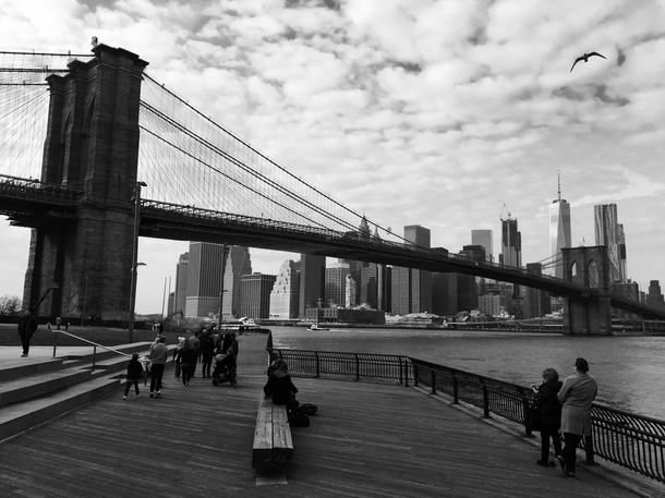 Manhattan from Brooklyn Bridge Park 