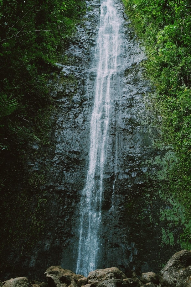 Manoa Falls Oahu Hawaii 
