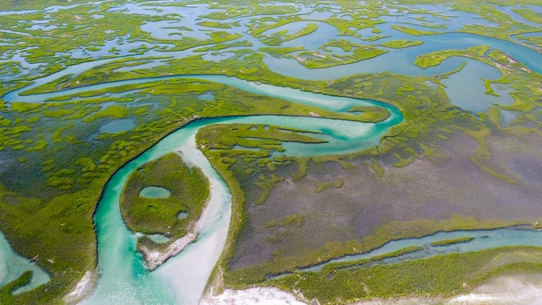 Marsh grass maze from a drone - Wrightville Beach NC by Daniel Mayo 