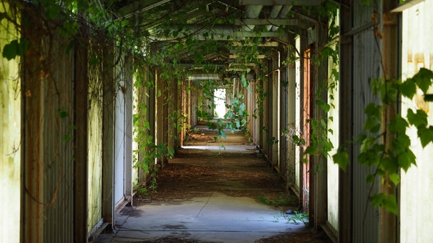 Massive abandoned interconnecting overgrown corridors 