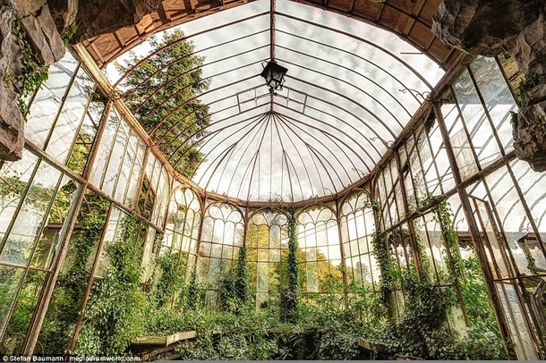 Massive glasshouse making its slow return to nature 